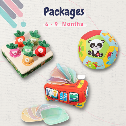 Toys packages - 6 - 9  Months - Activity 2