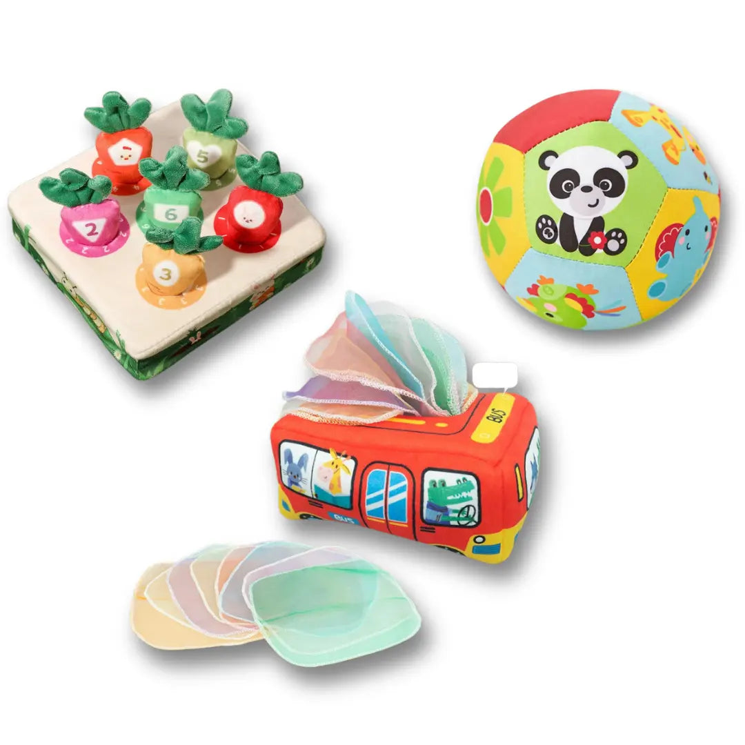 باقات الألعاب - 6 - 9 أشهر - النشاط 2 - OMOMA